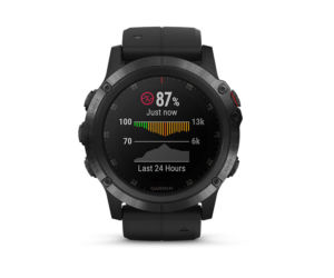 Garmin Fenix 5x