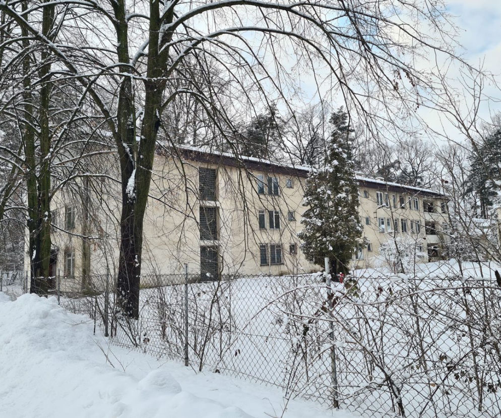 Poszczuł psem chłopca i go zgwałcił
