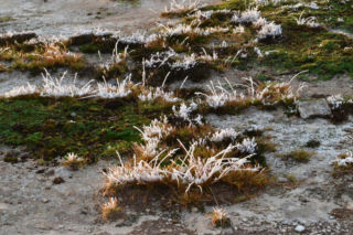 Kiedy będzie pierwszy przymrozek na Podlasiu? Znamy prognozy synoptyków