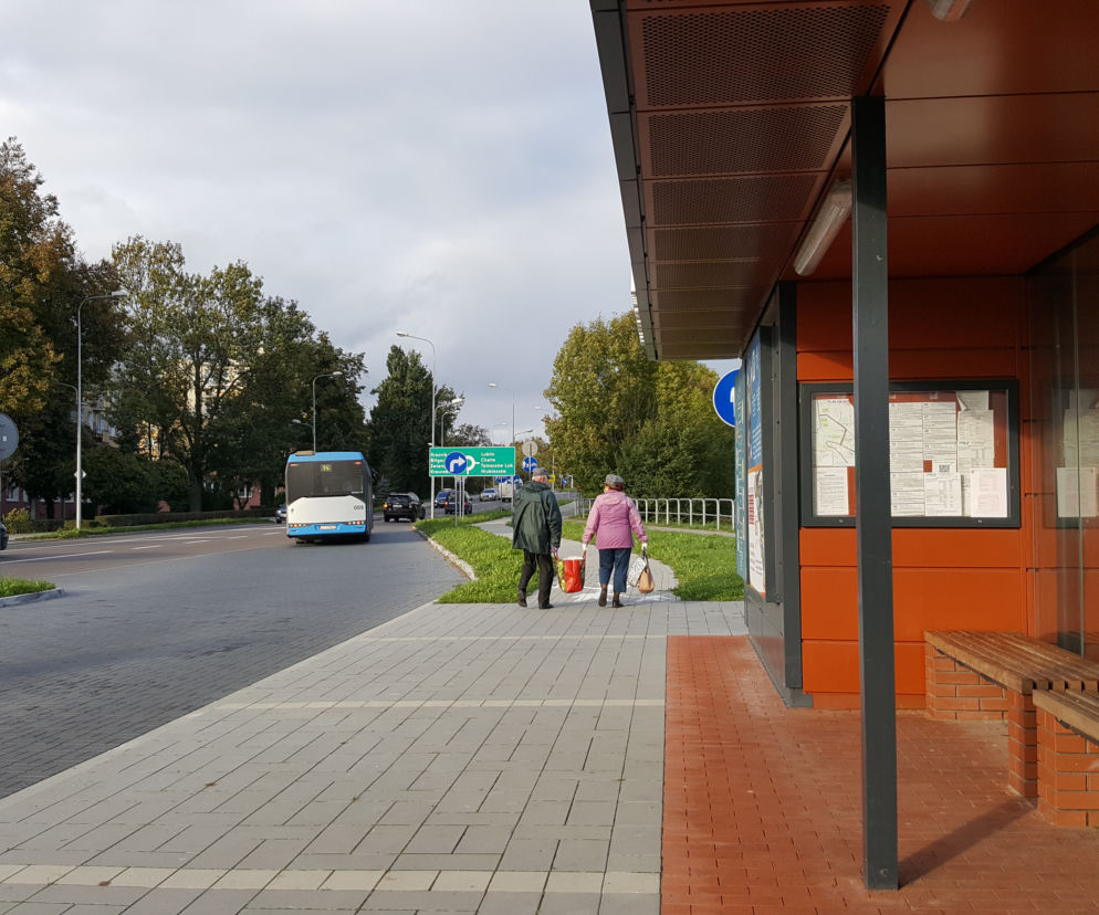 zamość