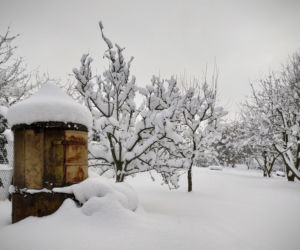 Kryzys bezdomności w Tarnowie: Żyją w namiotach na mrozie, potrzebna odzież