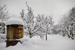 Kryzys bezdomności w Tarnowie: Żyją w namiotach na mrozie, potrzebna odzież