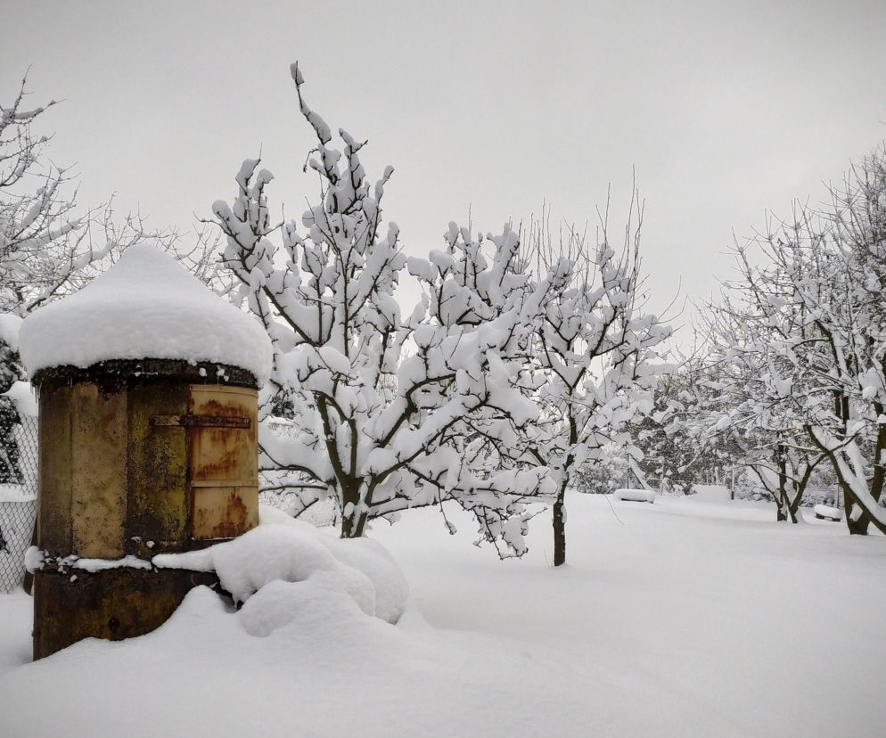 Zima w regionie tarnowskim