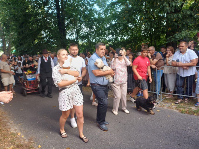 Święcenie zwierząt u św. Rocha 2026