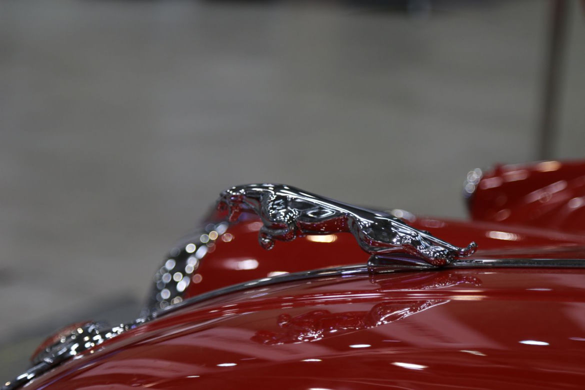 Auto Nostalgia 2016