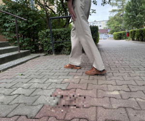 Tragedia w Lublinie. Kurier potrącił seniorkę. Kobieta nie żyje