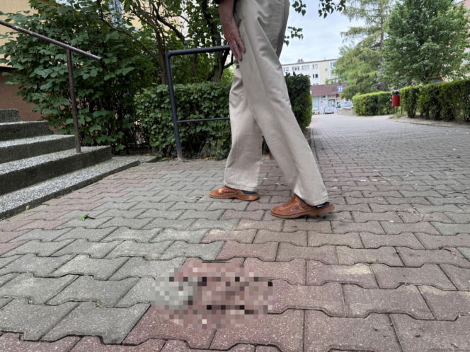 Tragedia w Lublinie. Kurier potrącił seniorkę. Kobieta nie żyje