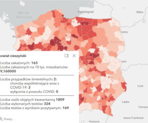 Koronawirus w województwie śląskim. Tak wygląda sytuacja w poszczególnych powiatach [RAPORT, 19 MARCA]