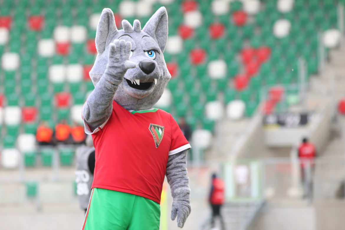 Zagłębie Sosnowiec - Skra Częstochowa ZDJĘCIA KIBICÓW 