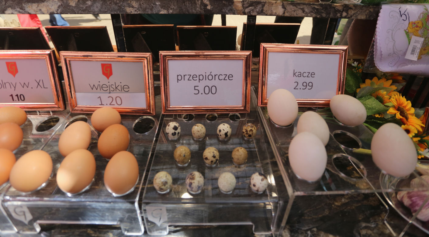 Księżycowe jaja 5 zł za sztukę. „Te kury słuchają muzyki klasycznej”