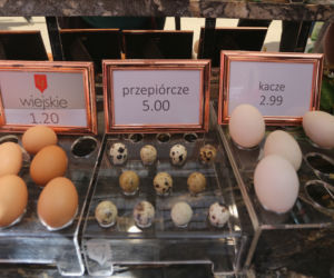 Księżycowe jaja 5 zł za sztukę. „Te kury słuchają muzyki klasycznej”