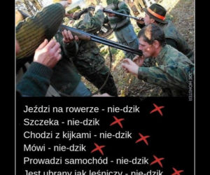 Memy o teściowej