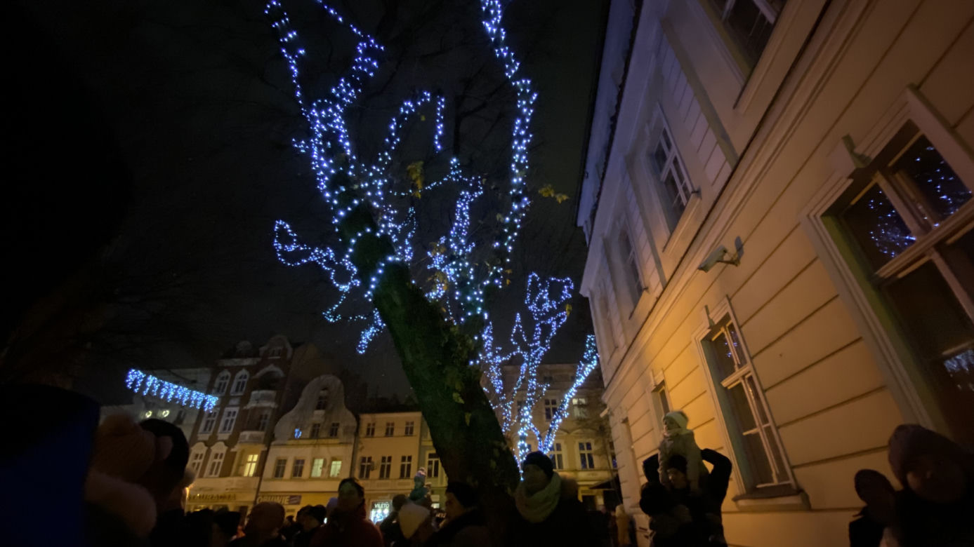 "Odpalamy się na Święta". Świąteczny blask w Zielonej Górze