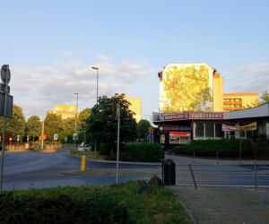 Ekologiczny mural przy Rondzie Giedroycia w Szczecinie