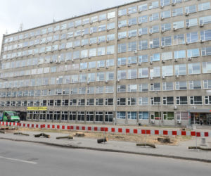 Wycinka drzew w Warszawie