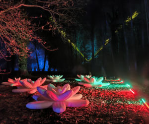 Festiwal Światła Rokosowo