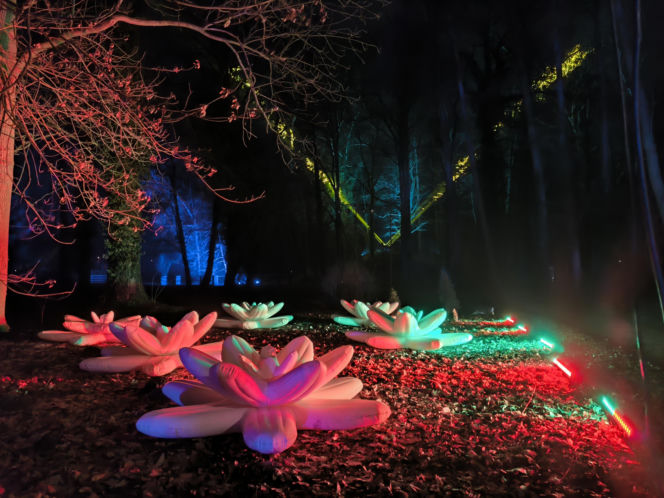 Festiwal Światła Rokosowo