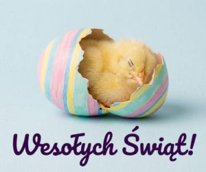 Wielkanoc2026-kurczaczek-spiacy-w-skorupce