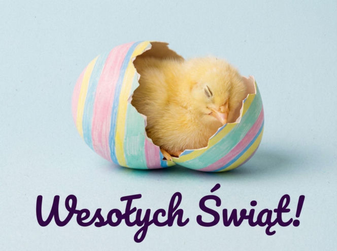 Wielkanoc2026-kurczaczek-spiacy-w-skorupce