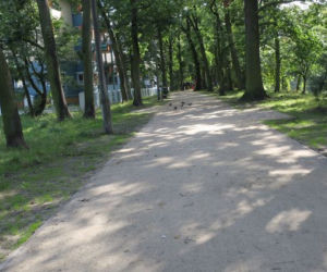 Park nad Starym Kanałem czeka remont. Ma być pięknie! 