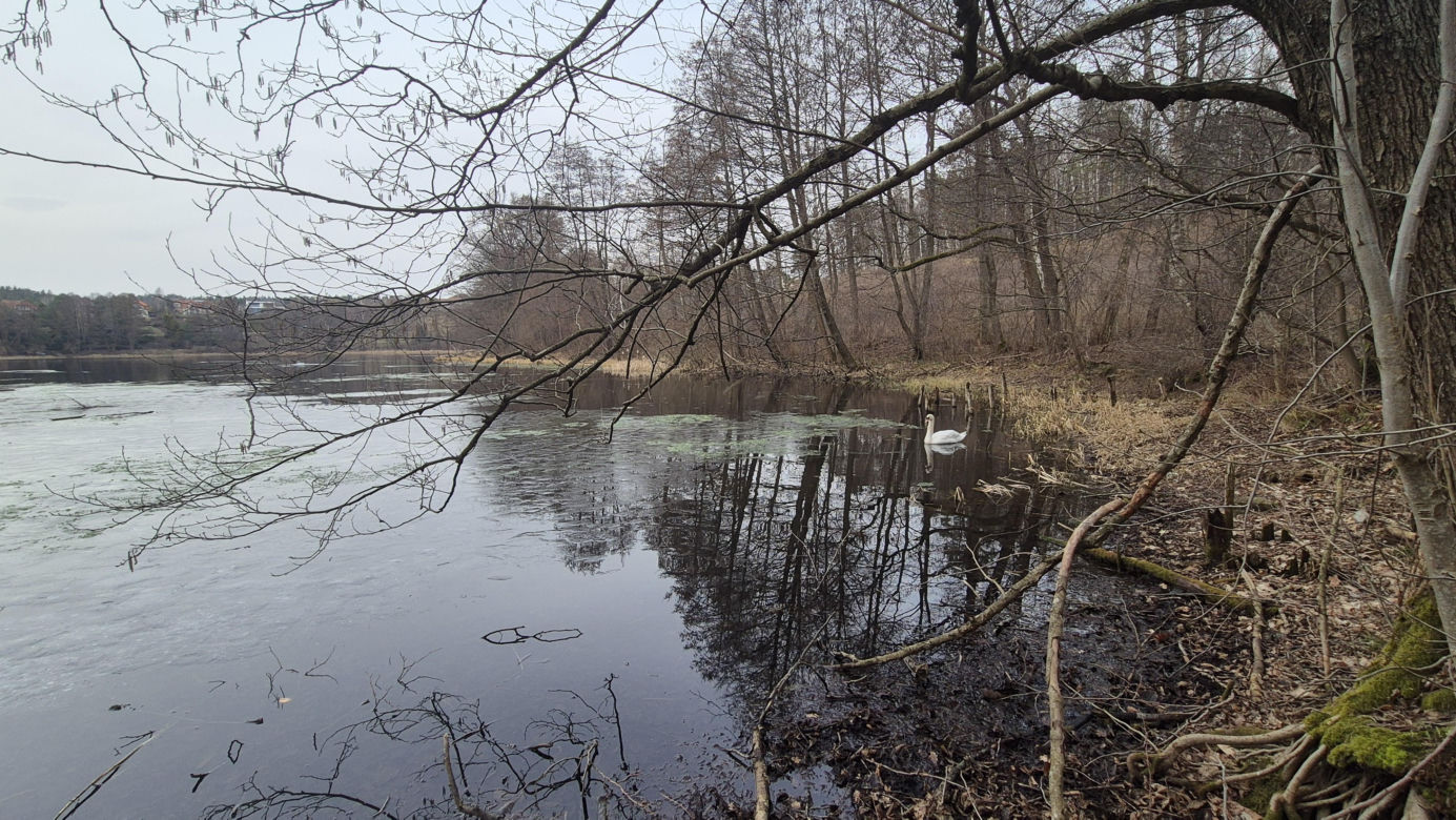 To jedno z najmniejszych jezior w Olsztynie. Prawie nikt o nim nie słyszał, a widoki zachwycają