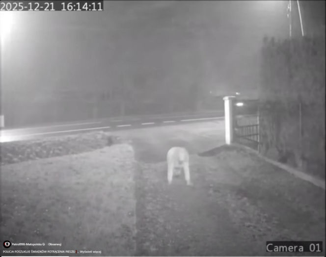 Dramat pod Krakowem. Seniorka czołgała się po jezdni, minęło ją kilkanaście samochodów