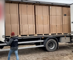 Służby przejęły 32 tony tytoniu i 324 krzewy konopi