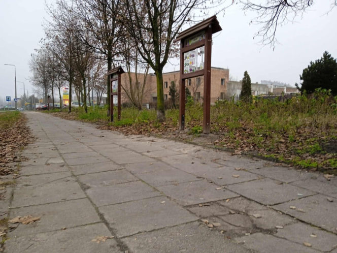 Park kieszonkowy w Siedlcach przy ul. Jagiełły