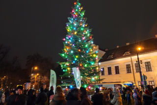 Kardynał Ryś rozświetlił Kraków! Zobacz, co dzieje się pod Oknem Papieskim