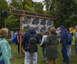 Weekend pełen smaków i tradycji! Gdynia zaprasza na 33. Dary Ziemi