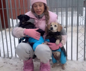 Doda ratuje psy przed mrozem