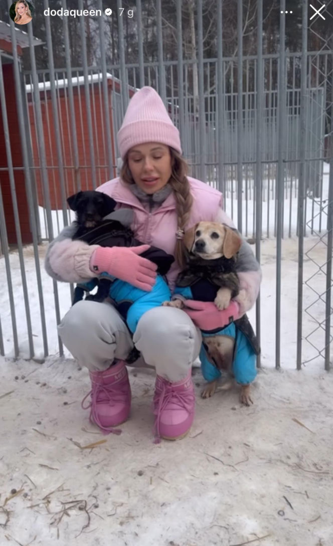 Doda ratuje psy przed mrozem