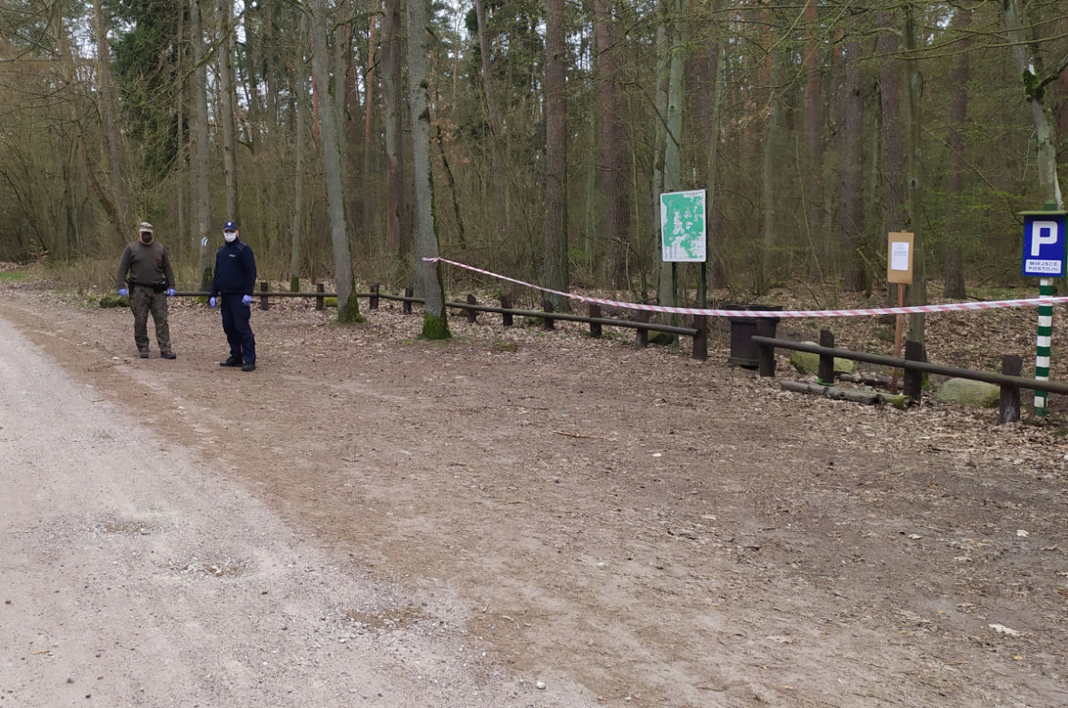 Koronawirus. Policja i straż leśna patrolują lasy