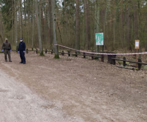 Koronawirus. Policja i straż leśna patrolują lasy