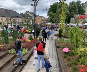 Daisy Days w Pszczynie przyciągnęły tłumy turystów