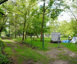 Teren Rekreacyjnych Ogródków Działkowych na Międzywalu Wisły