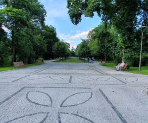 Będą porządki w parku Witosa w Bydgoszczy