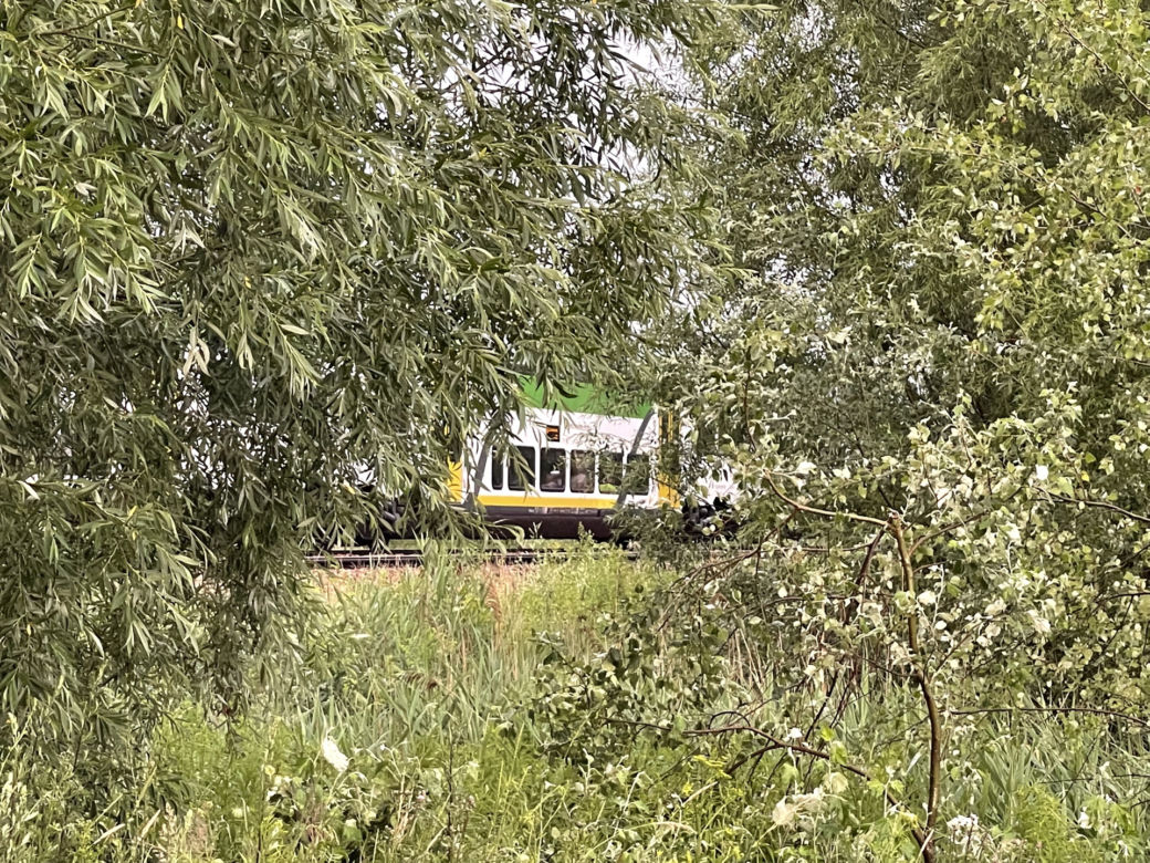 Piętrus Kolei Mazowieckich rozjechał 40-latka. Makabra na torach pod Grodziskiem