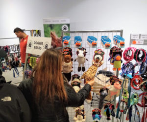 Miłośnicy czworonogów opanowali galerię BWA! Za nami pierwsze PupiLove Targi w Katowicach [ZDJĘCIA, AUDIO]