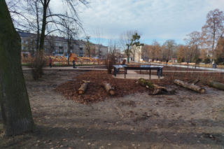 Zakończyły się prace na skwerze przy pl. Jagielońskim w Radomiu. Zobacz jak się zmieniło to miejsce [ZDJĘCIA]