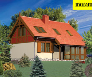 Dom na lato. Projekty domów letnich