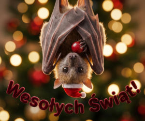 Świąteczne życzenia 2025 w formie kartek - idealne do wysłania przez Messengera i WhatsAppa