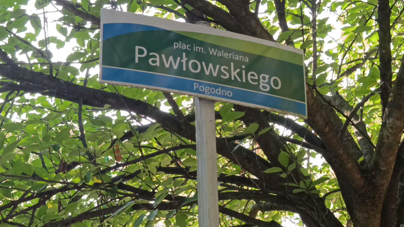 Pchli targ na Pogodnie