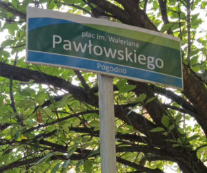Pchli targ na Pogodnie