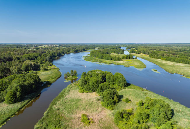 Polska Amazonka. Wodny labirynt na Podlasiu robi niesamowite wrażenie