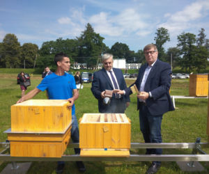 Pół miliona pszczół zamieszkało na terenie ujęcia wody MPWiK w Zwięczycy