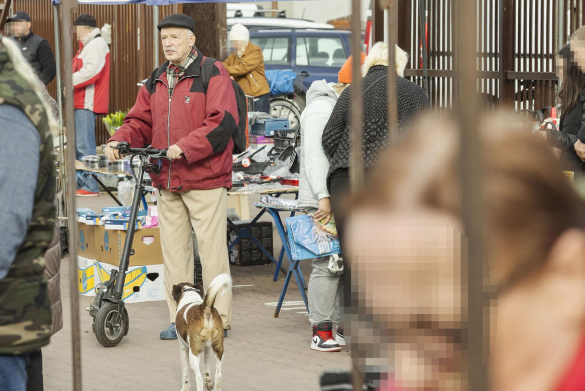 Korwin został gosposiem