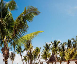 Iga Świątek na Mauritiusie