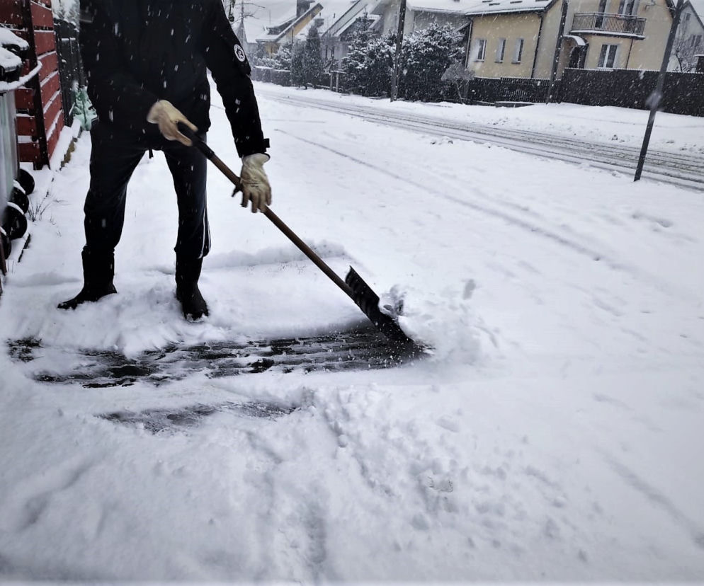 Jaki mandat za nieodśnieżoną posesję? Straż Miejska ostrzega
