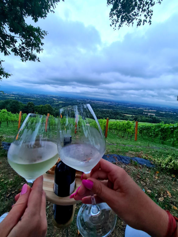 Wino pod gwiazdami w Komborni [GALERIA]